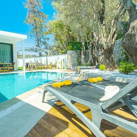 Vila Juliet Yalikavak Private Pool Bodrum